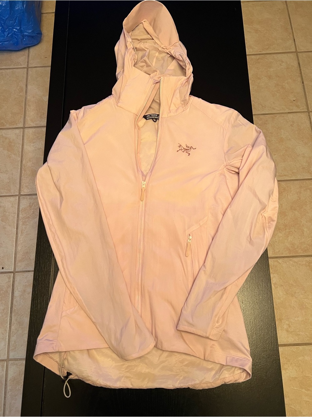 Arc'teryx Women's Light Pink Hooded Softshell Ski Jacket
